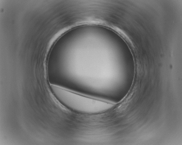 X0000075861238200609150947