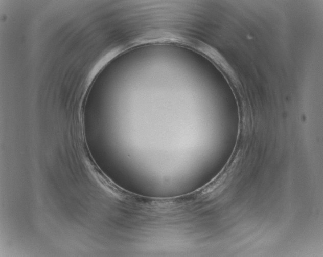 X0000075861242200609150947