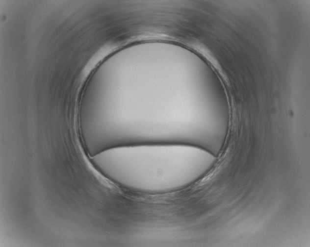 X0000075861245200609150947