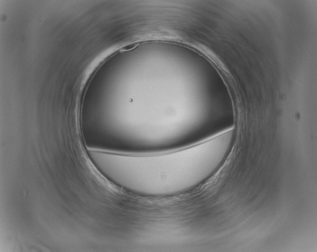 X0000075861246200609150947