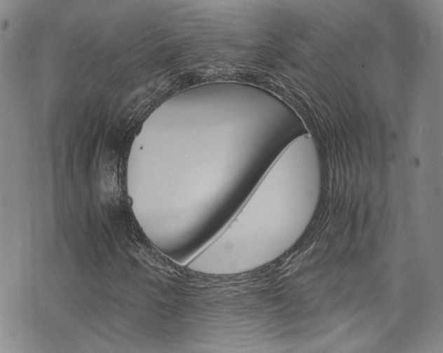 X0000075861250200609150947