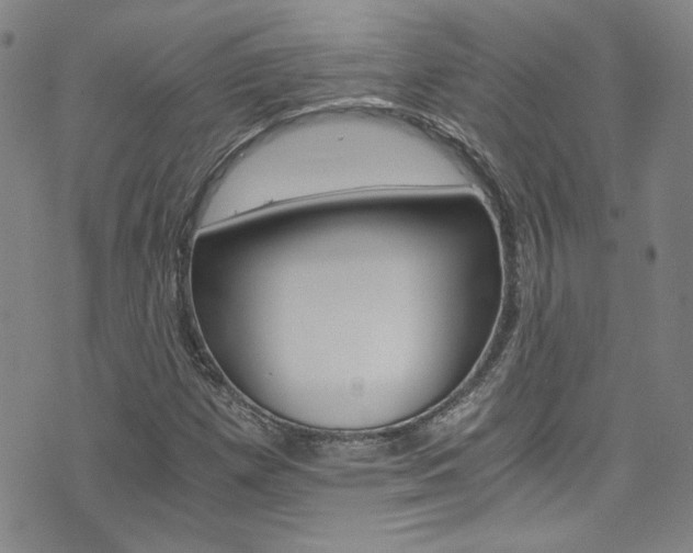 X0000075861257200609150947