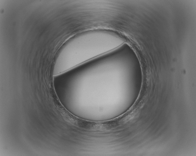 X0000075861265200609150946