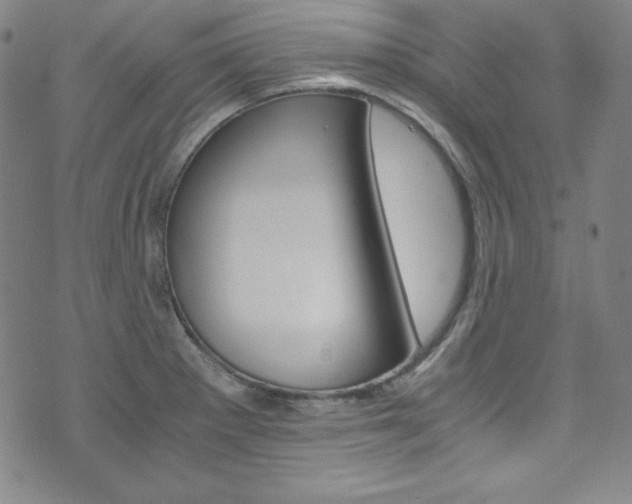 X0000075861281200609150946