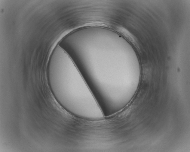 X0000075861284200609150946