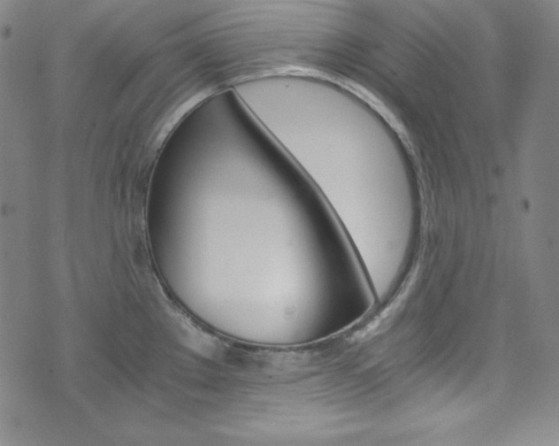 X0000075861289200609150946