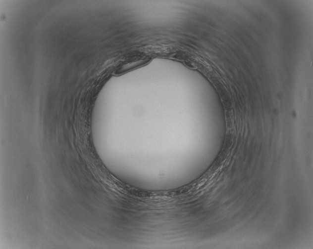 X0000075861297200609150945