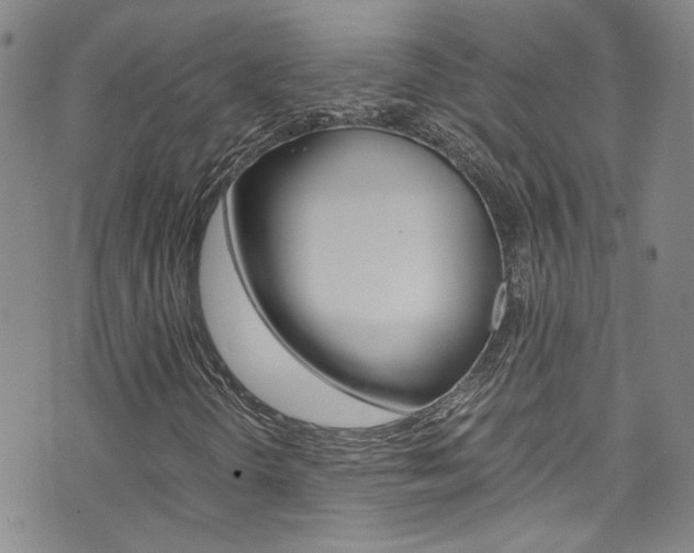 X0000075861298200609150945