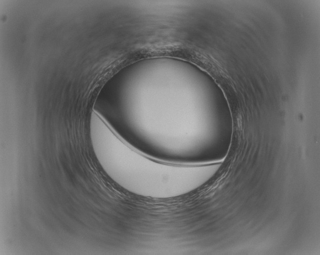X0000075861300200609150945