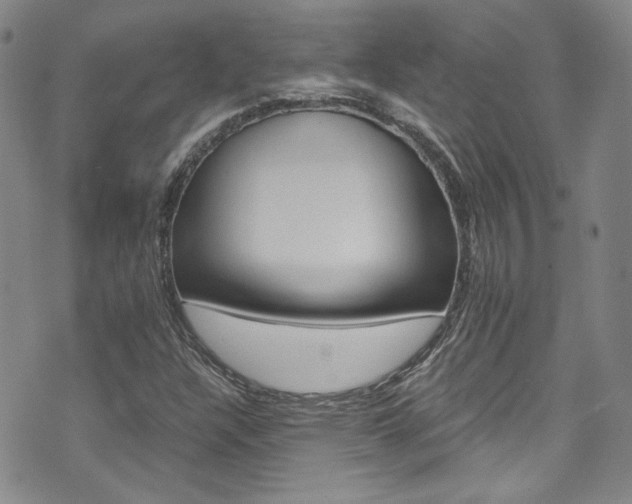 X0000075861304200609150945