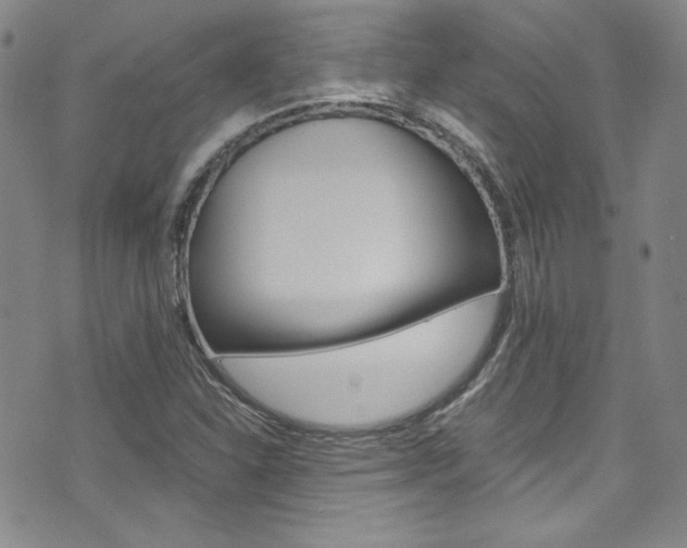 X0000075861310200609150945