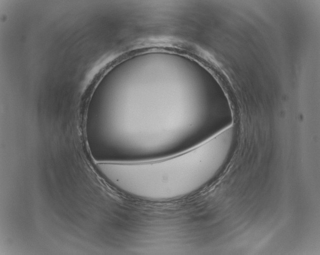 X0000075861312200609150945
