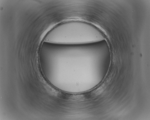 X0000075861325200609150946