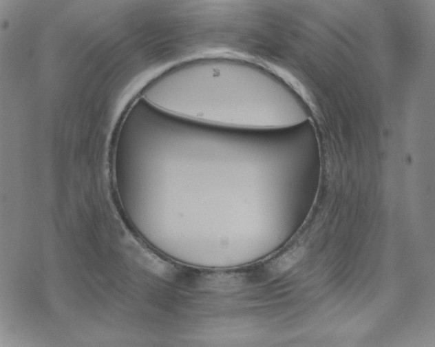 X0000075861327200609150946