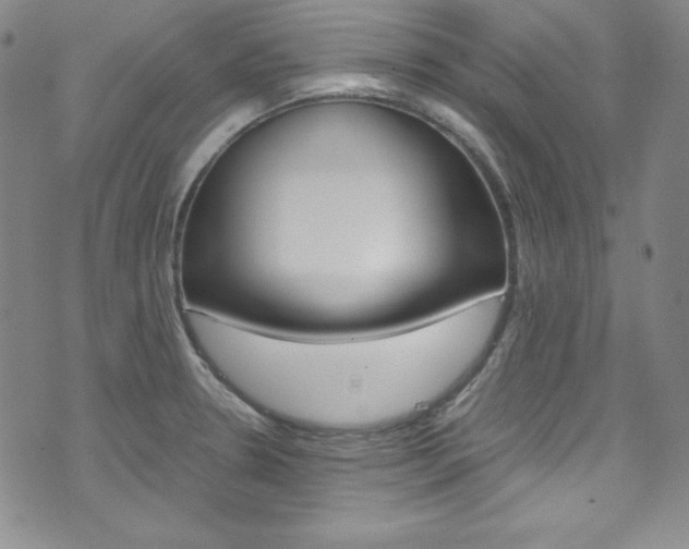 X0000075861330200609150946