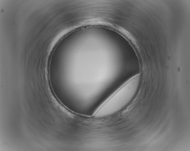 X0000075861334200609150946
