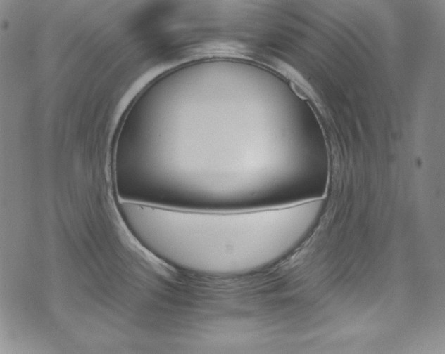X0000075861339200609150946