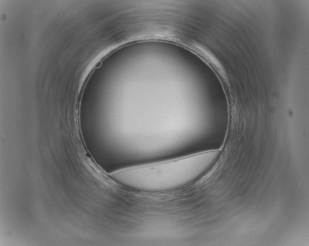 X0000075861340200609150946
