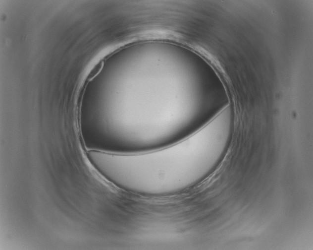 X0000075861342200609150946
