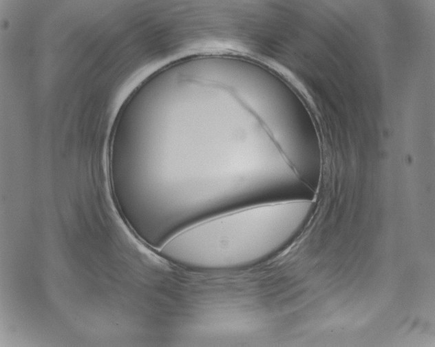 X0000075861343200609150946