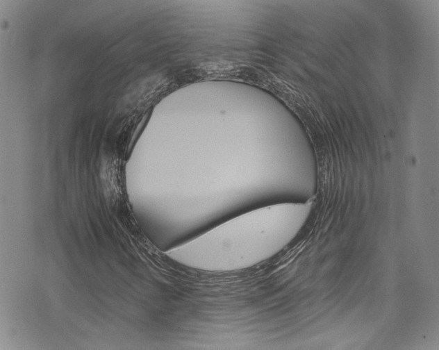X0000075861346200609150945