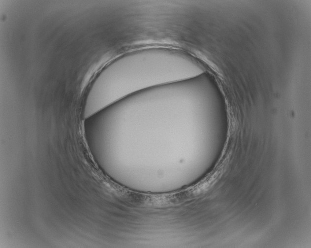 X0000075861357200609150945