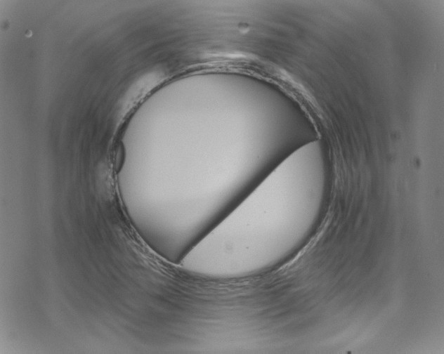 X0000075861362200609150945