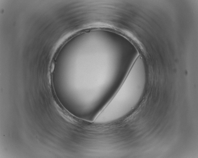 X0000075861372200609150945