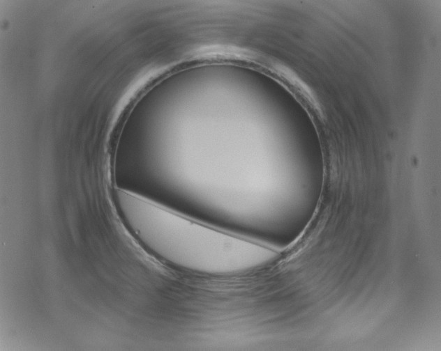 X0000075861376200609150945