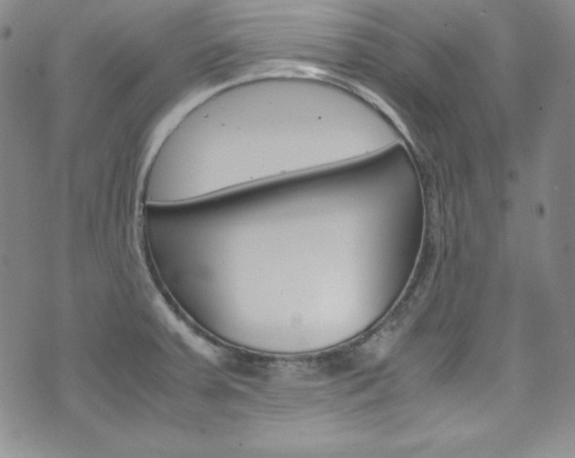X0000075861379200609150945