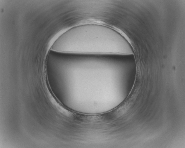 X0000075861387200609150944