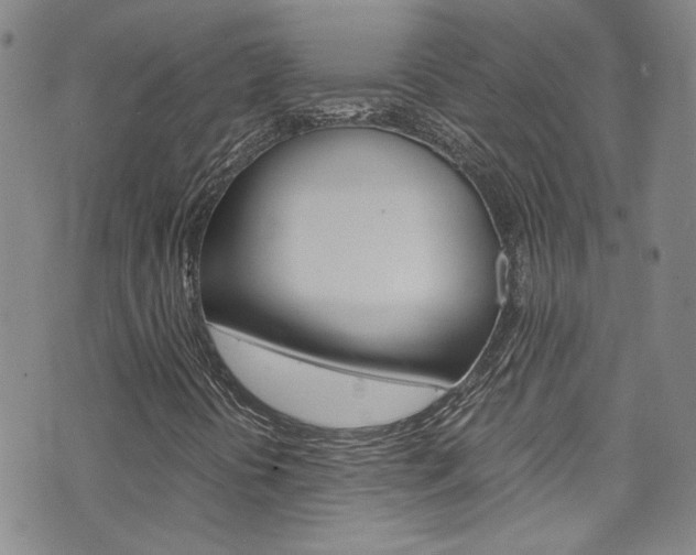 X0000075861394200609150944