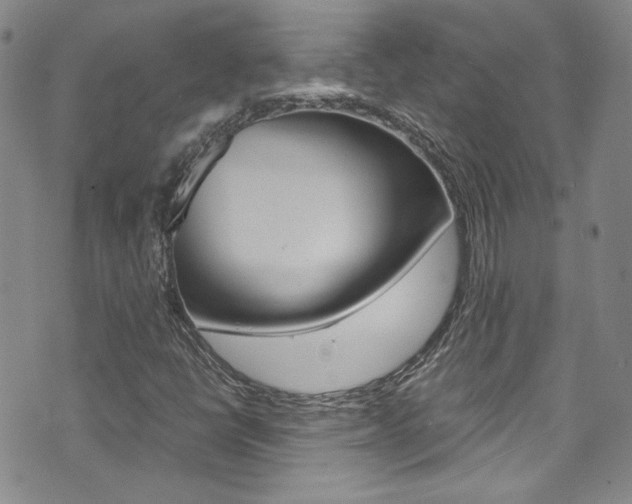 X0000075861398200609150944