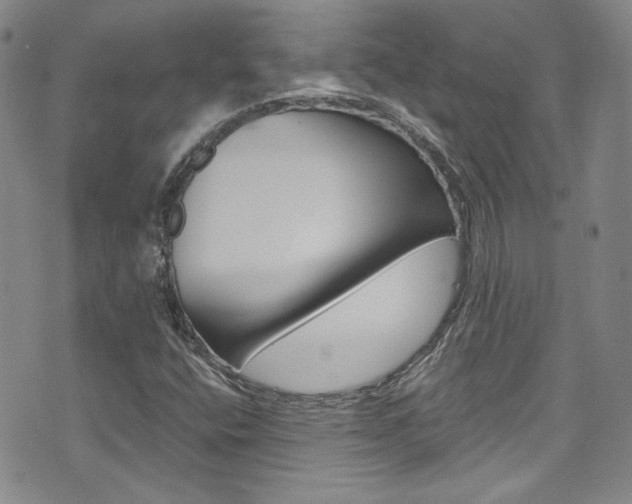 X0000075861400200609150944