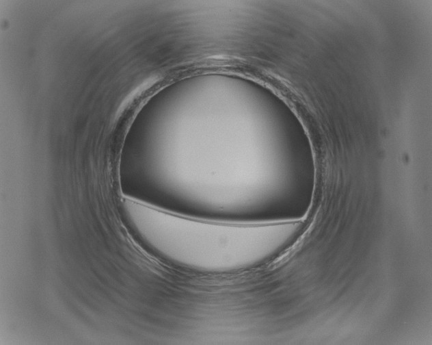 X0000075861402200609150944