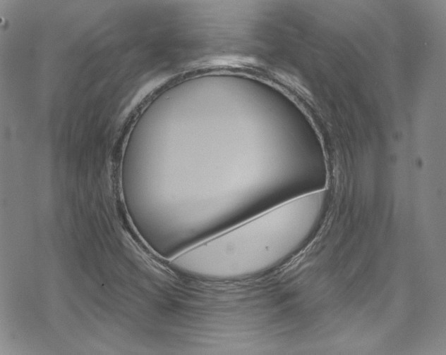 X0000075861404200609150944