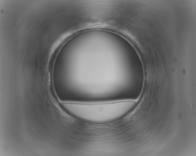 X0000075861414200609150944
