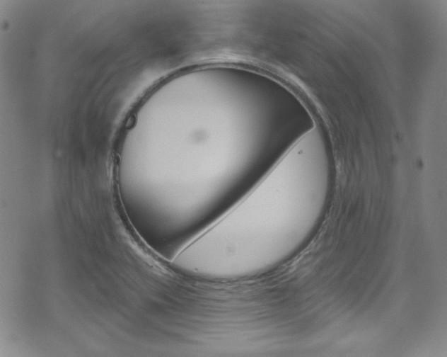 X0000075861416200609150944
