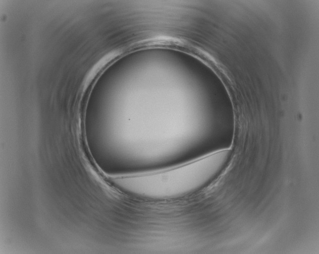 X0000075861418200609150944