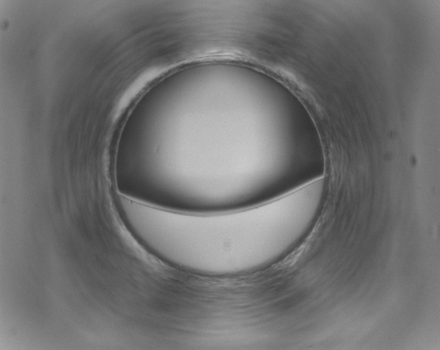 X0000075861422200609150944