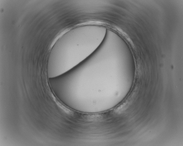 X0000075861425200609150944