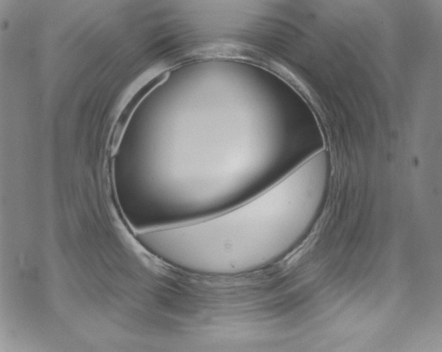 X0000075861434200609150944
