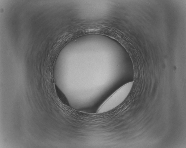 X0000075861441200609150944