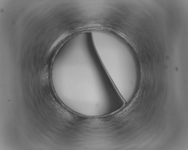 X0000075861450200609150943