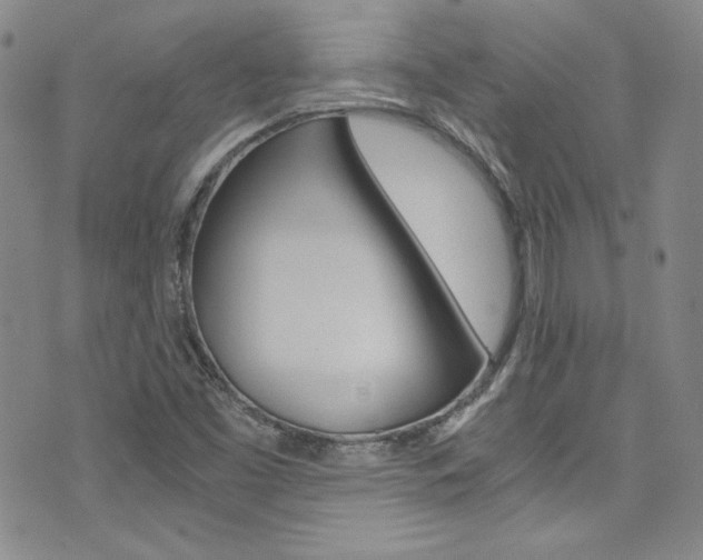 X0000075861453200609150943
