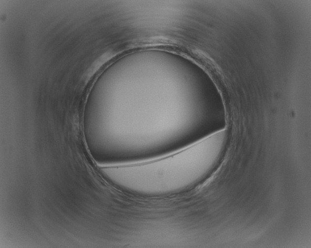 X0000075861457200609150943
