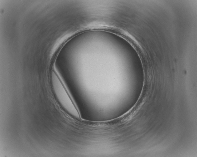 X0000075861461200609150943