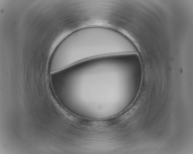 X0000075861469200609150943