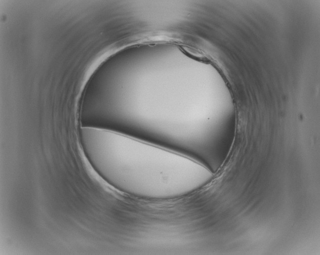 X0000075861483200609150943