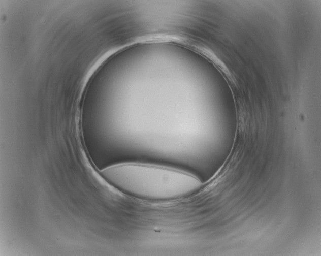 X0000075861484200609150943